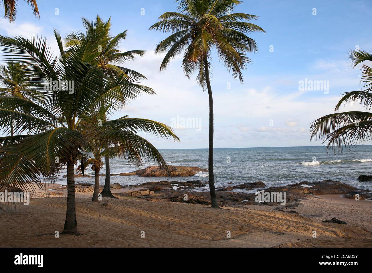 Vue panoramique lumineuse sur une plage tropicale vide bordée de palmiers dans le nord-est de Bahia, Brésil. Ciel bleu Banque D'Images