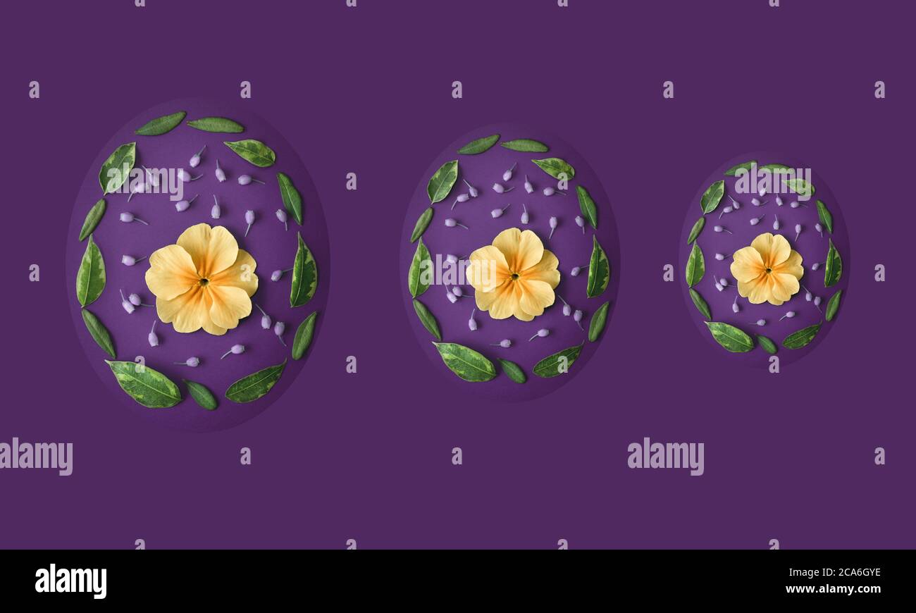 Trois oeufs de pâques faits de fleurs et de feuilles sur fond violet. Arrière-plan de Pâques pour la carte de vœux avec espace de copie. Banque D'Images