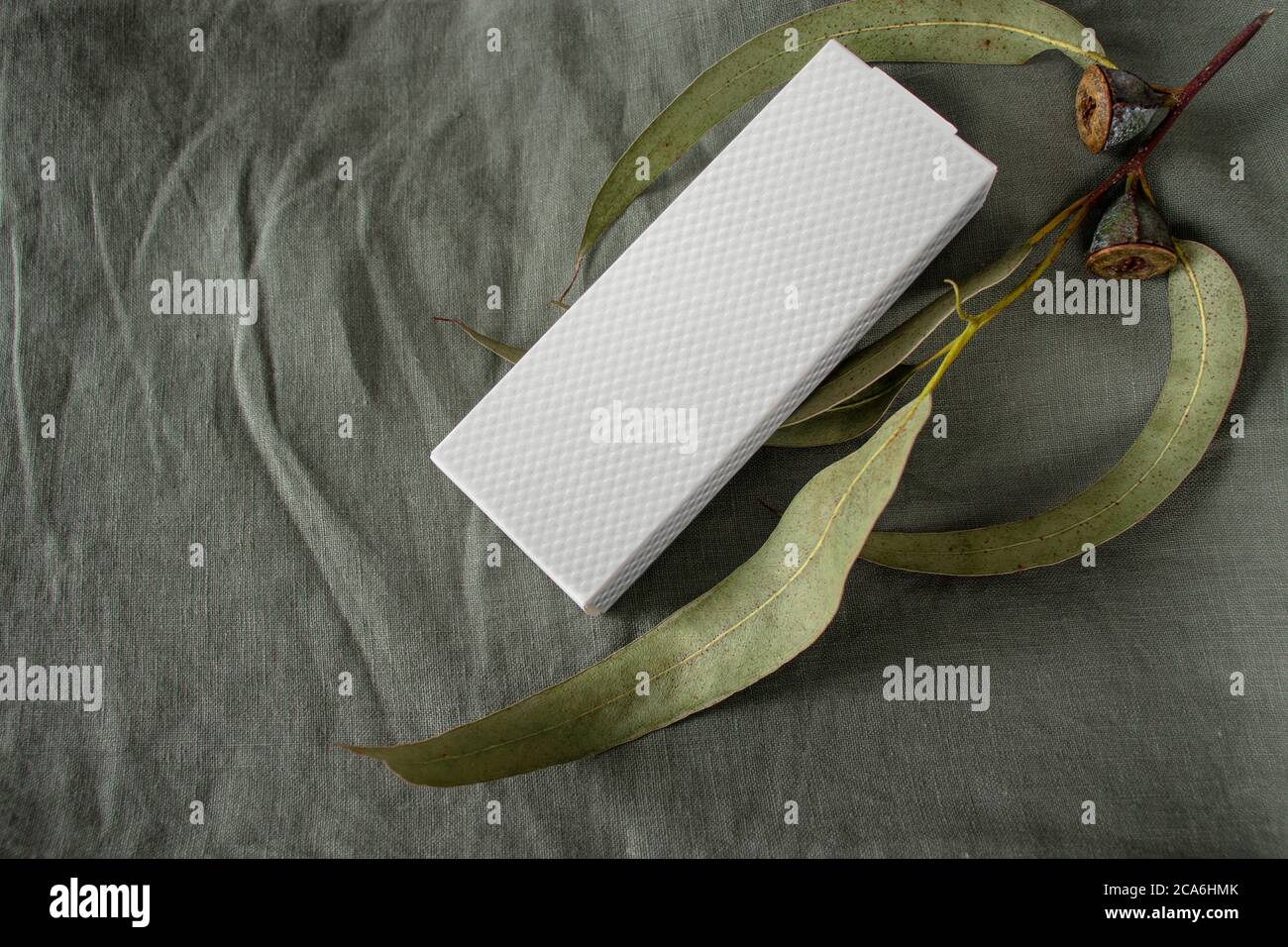Maquette de boîte en papier texturé blanc et branche d'eucalyptus avec feuilles et fruits sur le fond en lin vert sauge. Banque D'Images