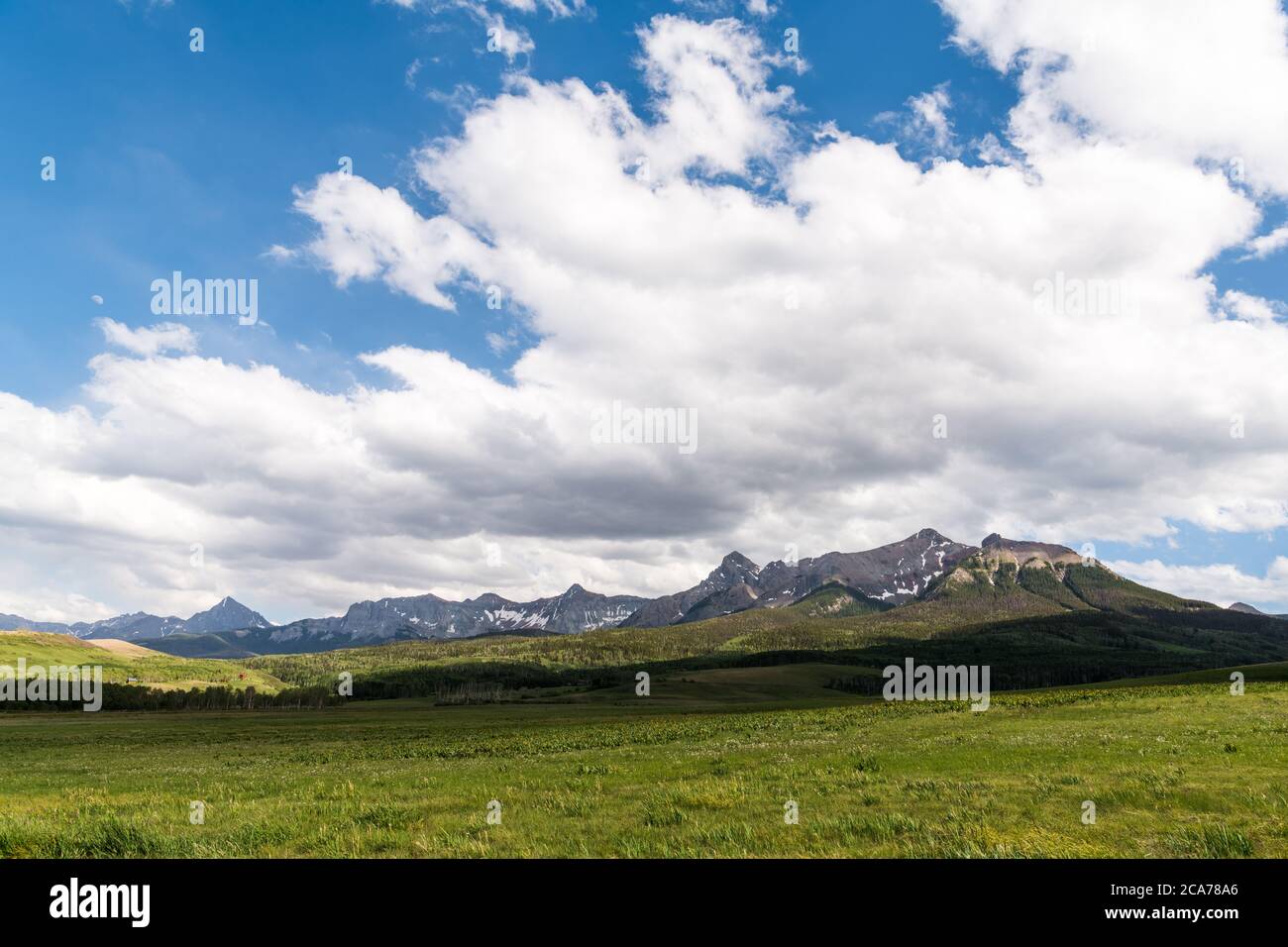 Des champs verdoyants et herbeux parsemés de fleurs sauvages dans un ranch ouvert, sous les montagnes enneigées de San Juan, dans le sud-ouest du Colorado, en UA Banque D'Images