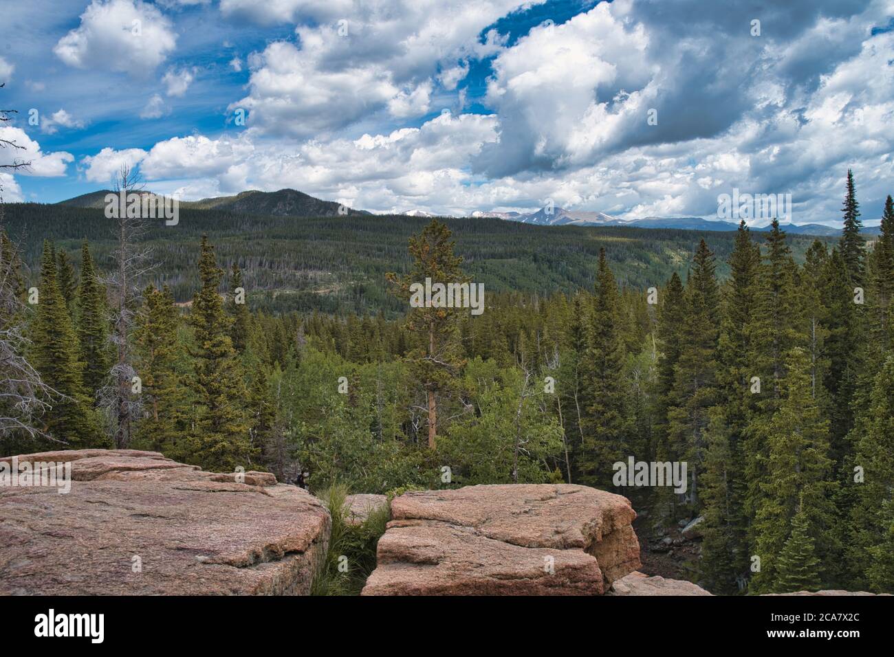 Vue sur une falaise des montagnes rocheuses. Arbres visibles à des kilomètres dans le parc national du colorado Banque D'Images