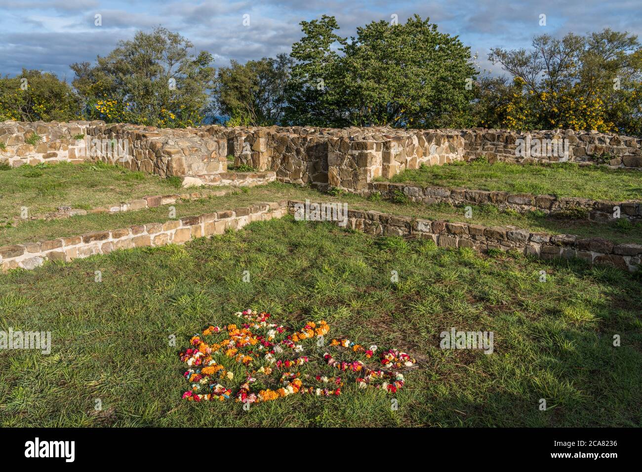 Les fleurs se répandent sur le sol au-dessus des tombes 103, 110, 112 et d'une autre tombe non numérotée. Un site classé au patrimoine mondial de l'UNESCO. Banque D'Images