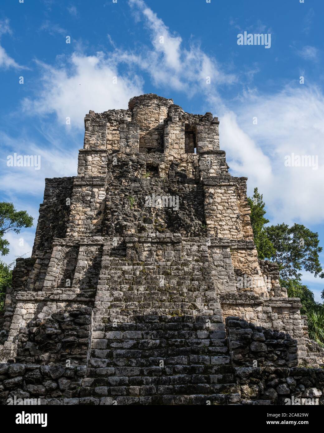 Structure 8I-13, El Castillo ou le Château dans les ruines de la ville maya de Muyil ou Chunyaxche dans la réserve mondiale de biosphère de Sian Ka'an UNESCO. Banque D'Images