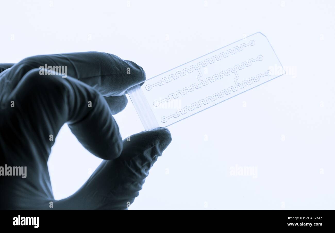 Organe sur puce OOC et LAB sur puce LOC - puce de dispositif microfluidique qui simule les organes biologiques et le dispositif de laboratoire . Prototype de laboratoire de conception-sur-A. Banque D'Images