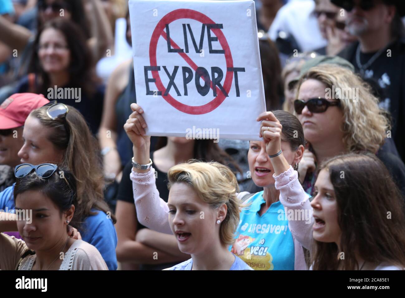 Manifestation d'interdiction des exportations en direct à Sydney, en Australie. Banque D'Images