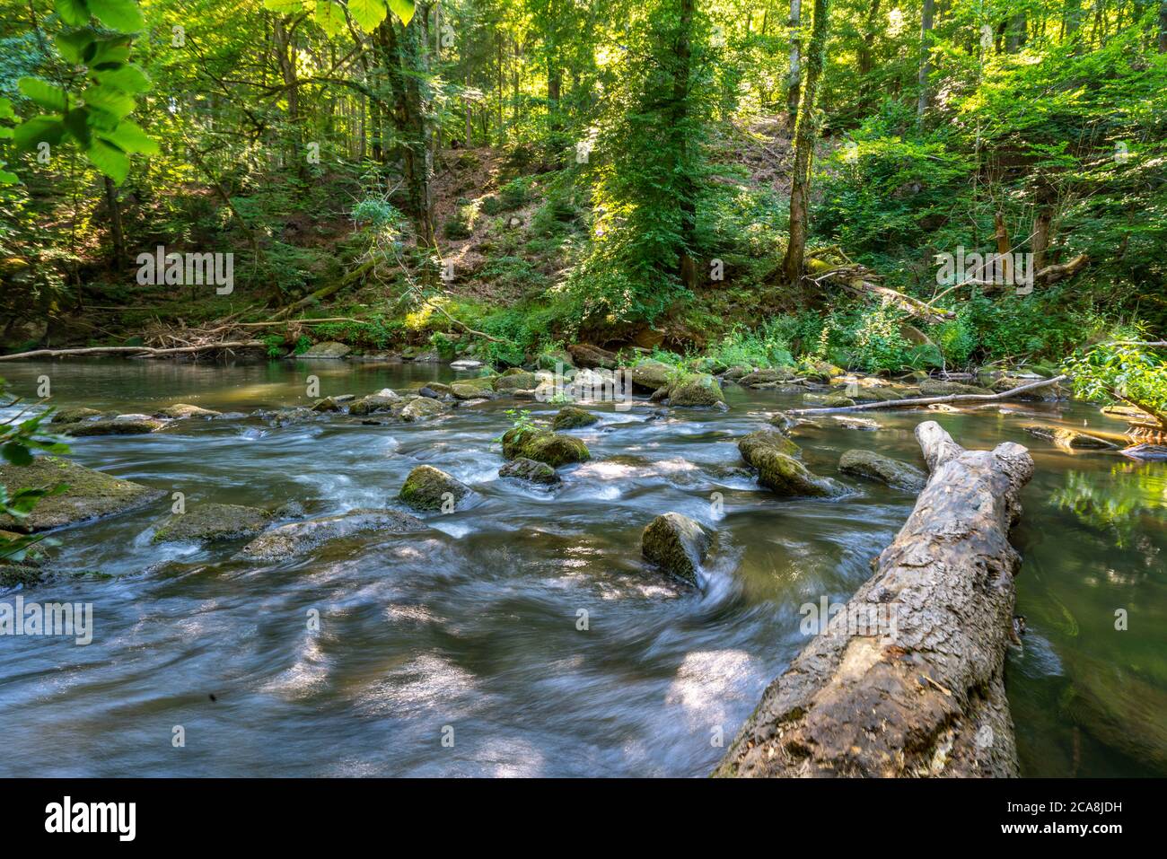 Les cascades d'Irreler, rapides dans les tronçons inférieurs du Prüm entre Prümzurlay et Irrel, dans le district d'Eifel de Bitburg-Prüm, Rhénanie-Palatin Banque D'Images