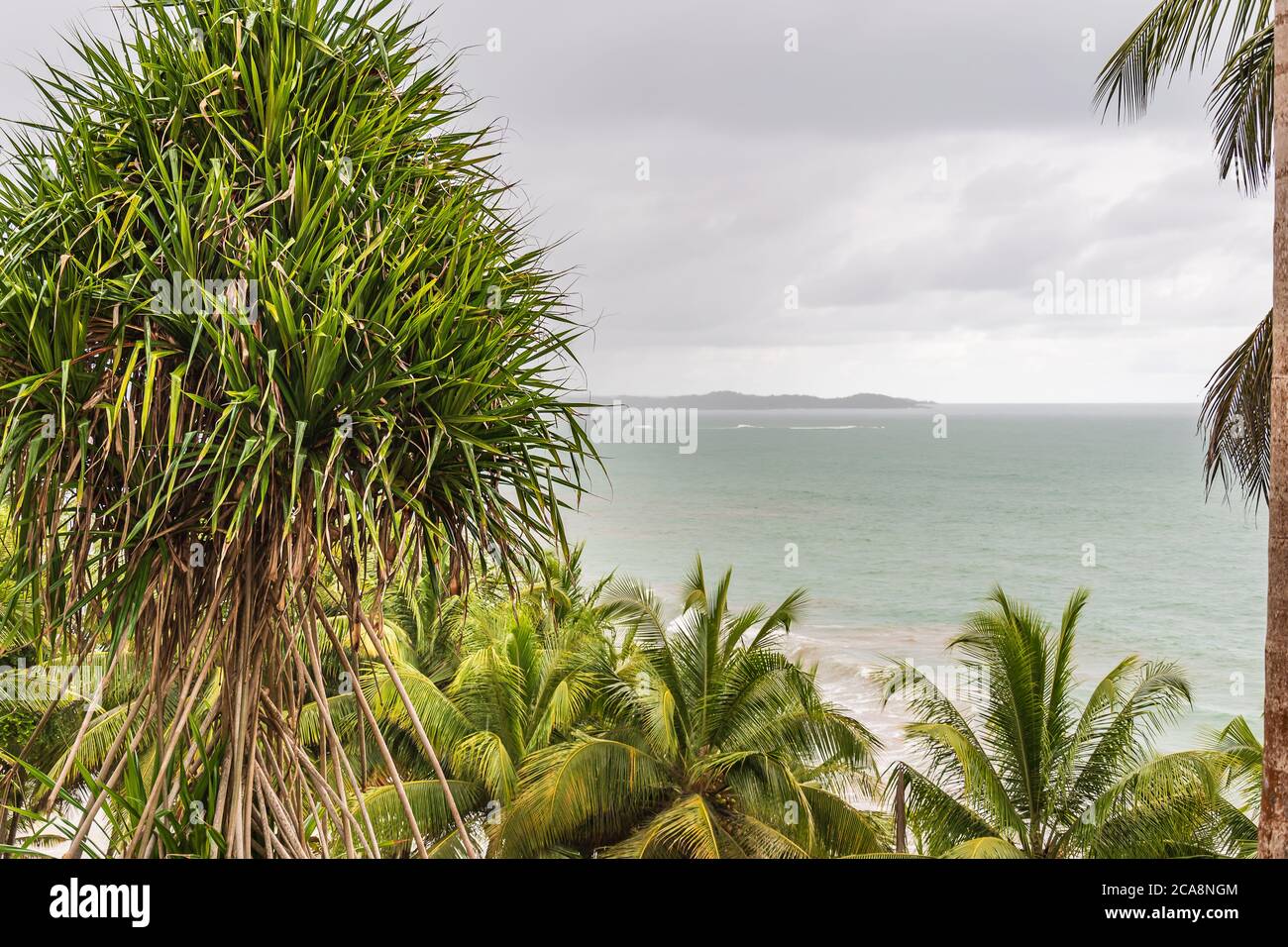 Vue sur la jungle de la mer Axim au Ghana avec une nature intacte. Banque D'Images