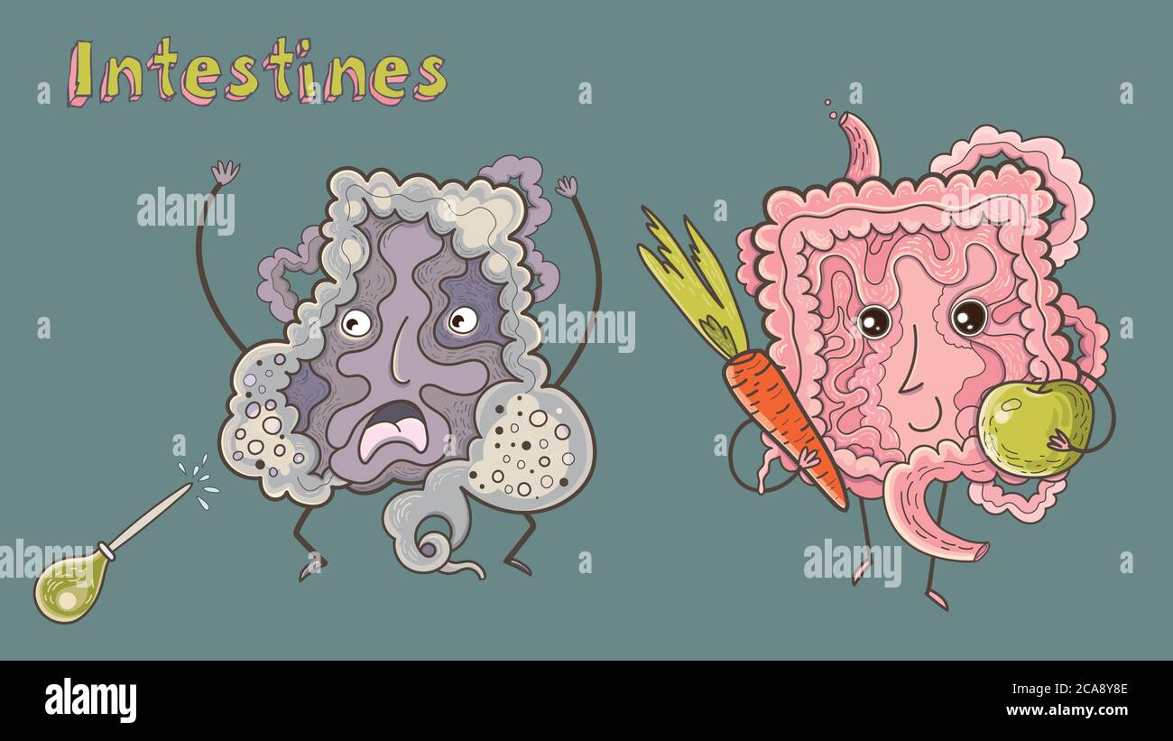 Fort sain Happy intestin caractère avec la pomme et les carottes. Et un intestin malsain qui nécessite un enema. Tube digestif, alimentation saine, Illustration de Vecteur