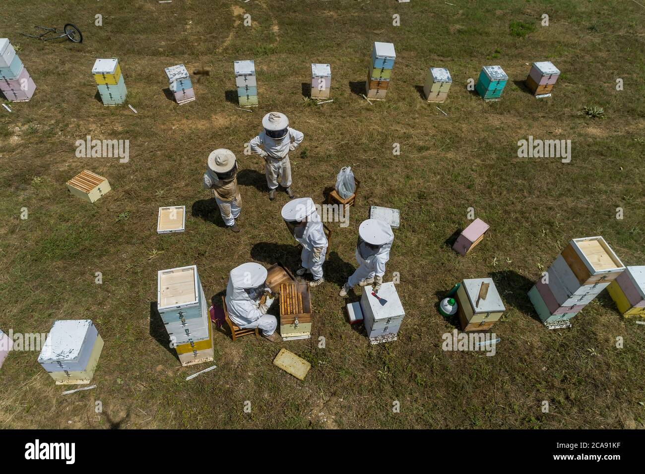 Apiculteurs travaillant à la collecte du miel dans une région de Florina, dans le nord de la Grèce. Apiculture biologique Banque D'Images