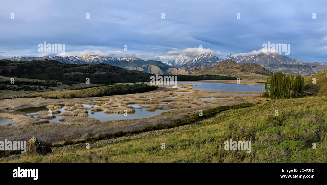 Peupliers en face des Andes, Parc national de Patagonie, vallée de Chacabuco près de Cochrane, région d'Aysen, Patagonie, Chili, Amérique du Sud Banque D'Images