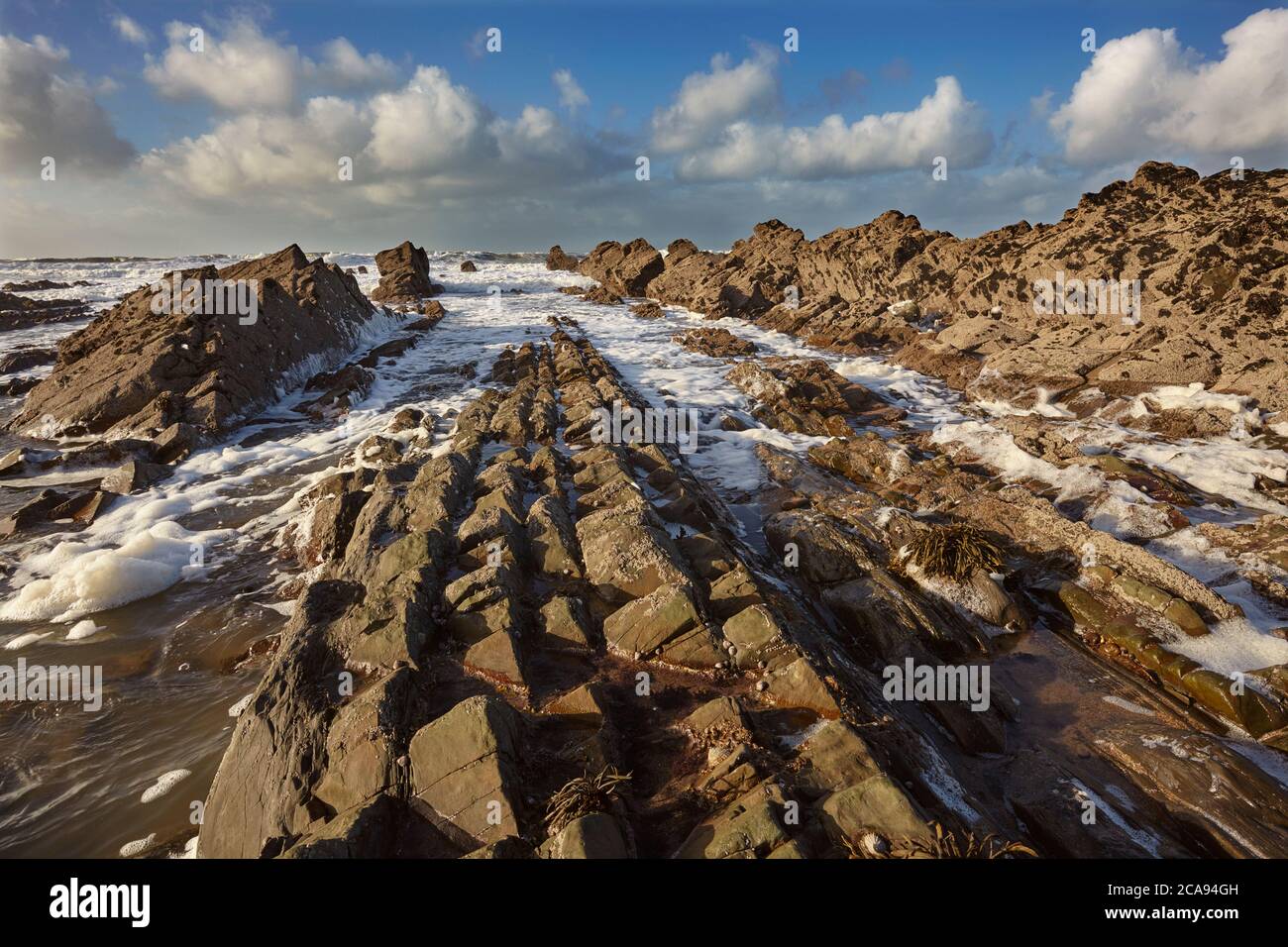 Surfez sur une côte atlantique rocheuse, à Widemouth Bay, près de Bude, Cornwall, sud-ouest de l'Angleterre, Royaume-Uni, Europe Banque D'Images