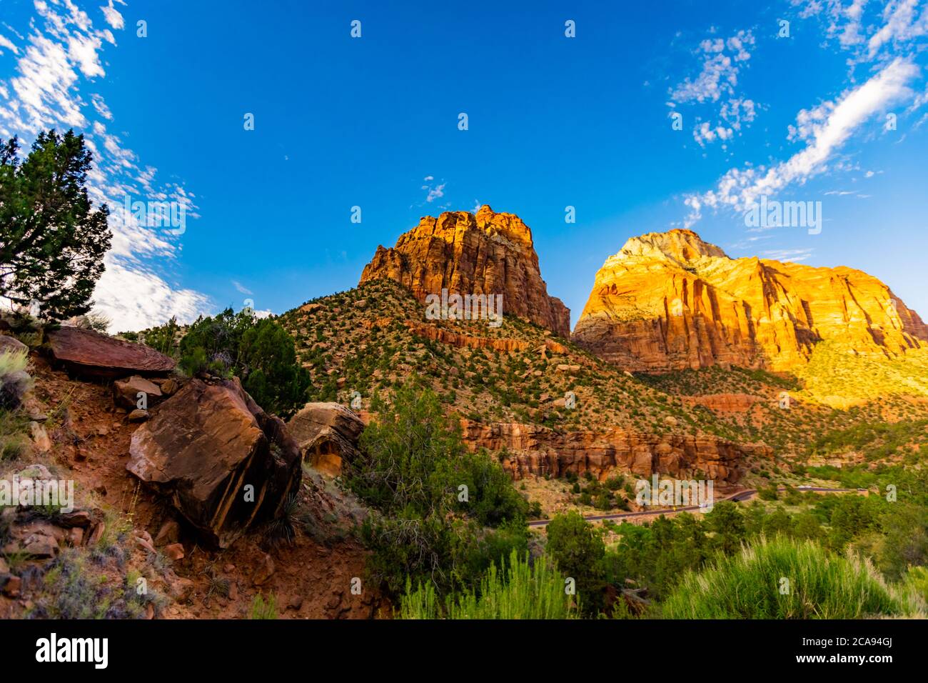 Les paysages le long du Canyon surplombent Trail, le parc national de Zion, Utah, États-Unis d'Amérique, Amérique du Nord Banque D'Images