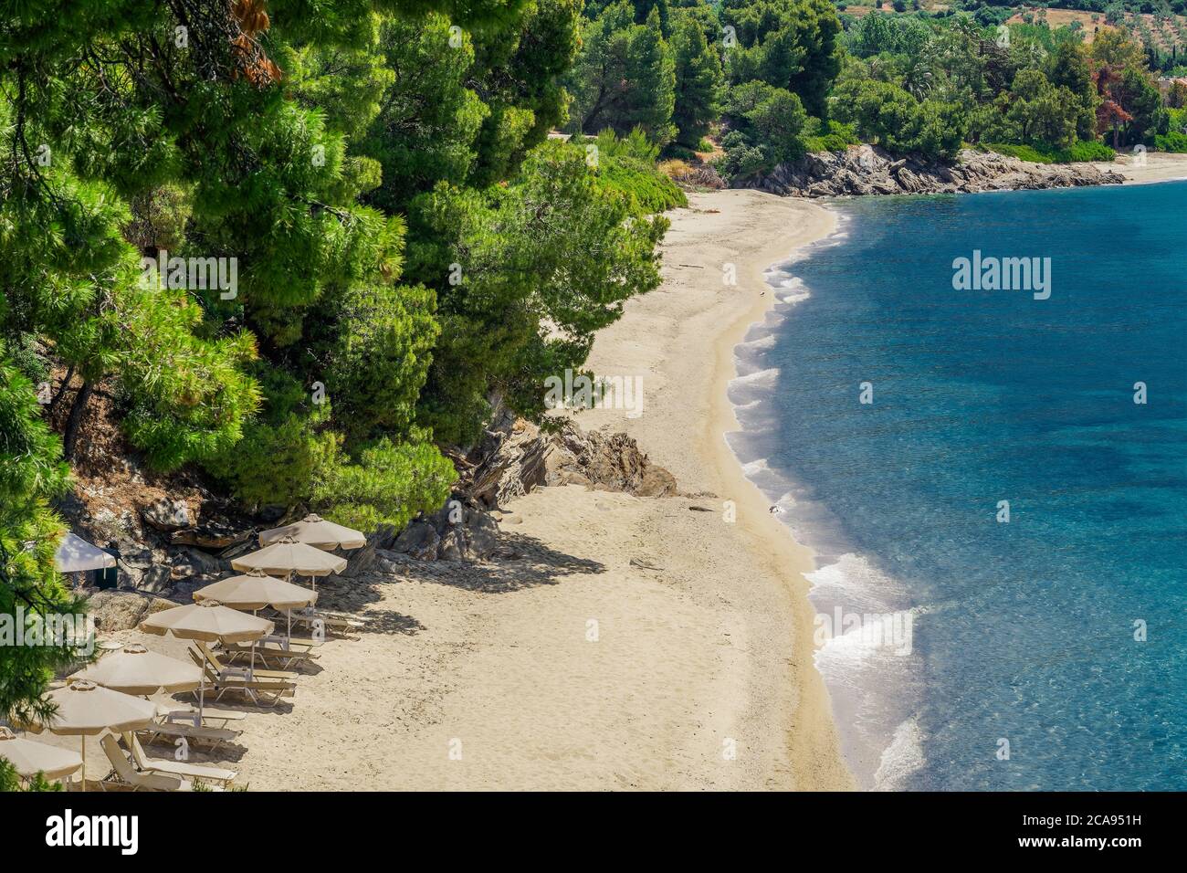 Plage grecque méditerranéenne sur la péninsule de Sithonia Chalkidiki, avec plage de sable vide avec mer claire et calme et lits de mer, Sithonia, Chalkidiki, Grèce Banque D'Images