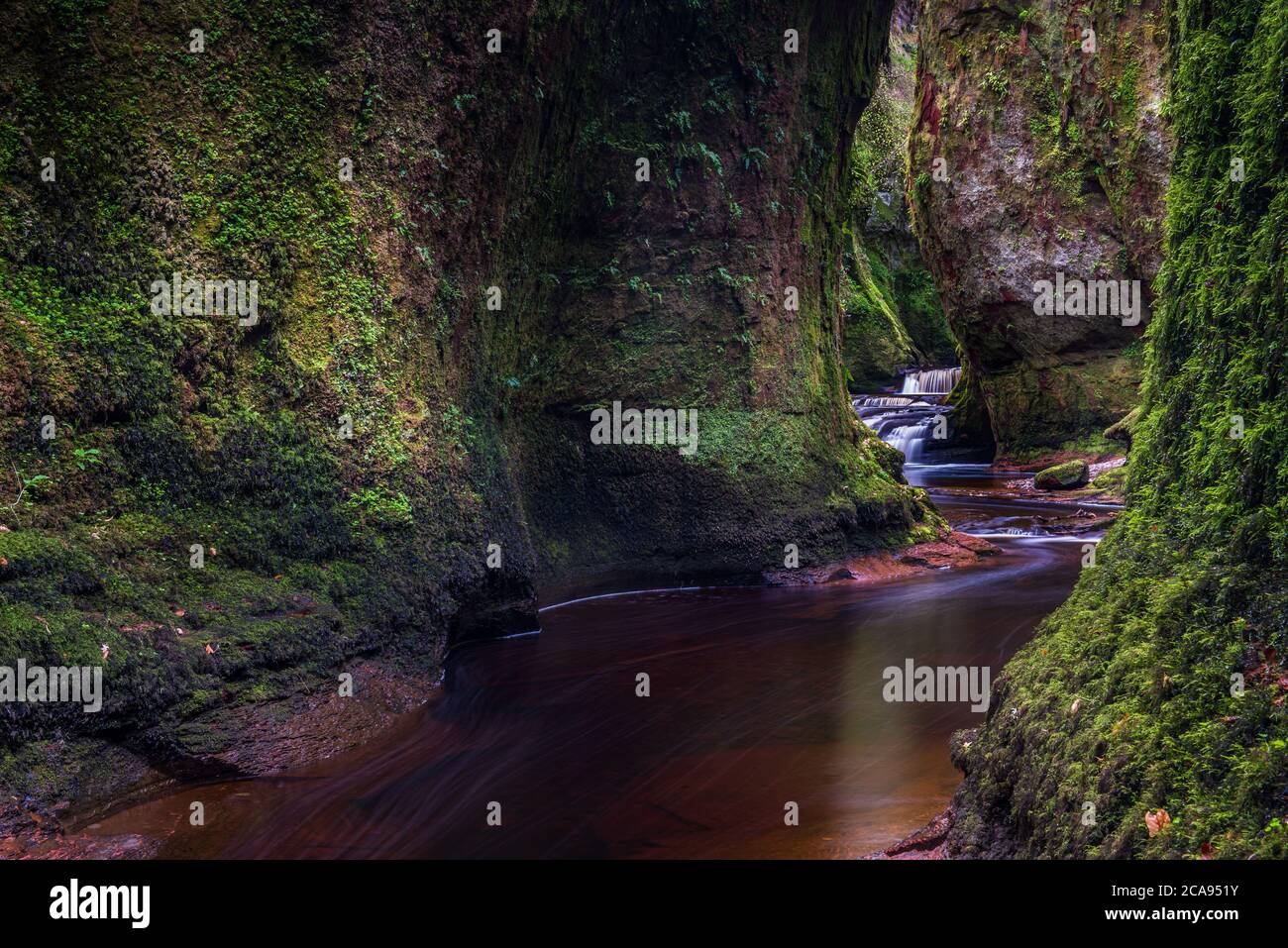 La gorge de Finnich Glen, connue sous le nom de Devils Pulpit près de Killén, Stirling, Écosse, Royaume-Uni, Europe Banque D'Images