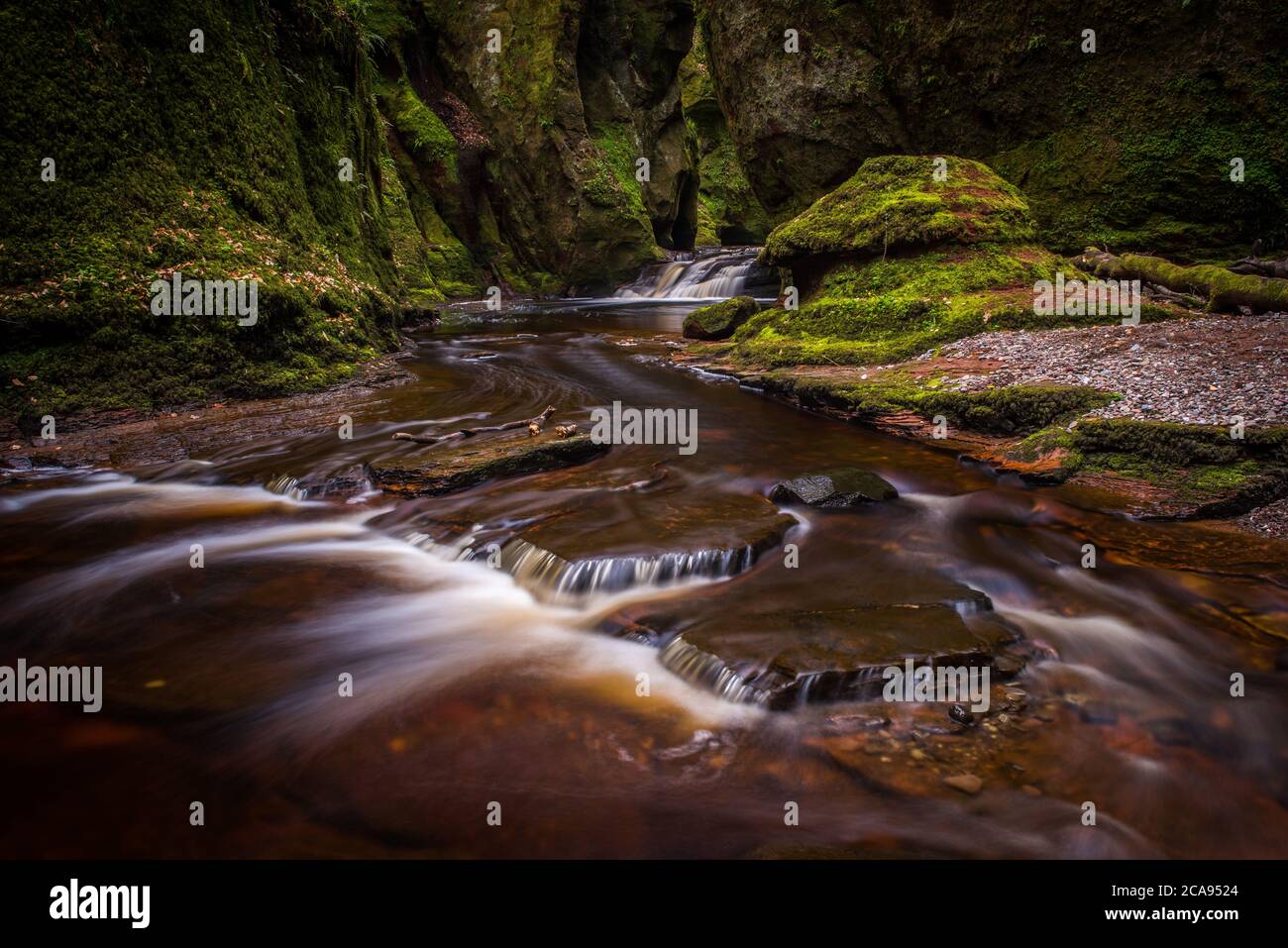 La gorge de Finnich Glen, connue sous le nom de Devils Pulpit près de Killén, Stirling, Écosse, Royaume-Uni, Europe Banque D'Images