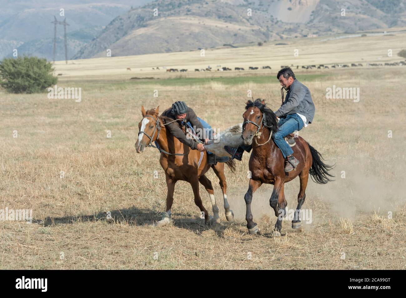 Kokpar traditionnels ou buzkashi dans la périphérie de Gabagly parc national, Shymkent, Kazakhstan, Région du Sud, l'Asie centrale, pour un usage éditorial uniquement Banque D'Images