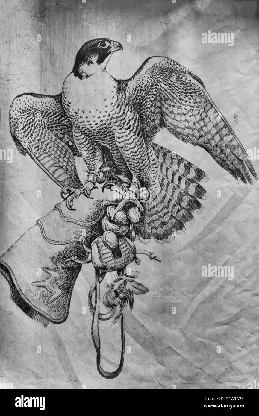 Peintures sur la fauconnerie, tentes décoration Sunkar Raptor Falcon Sanctuaire, Almaty, Kazakhstan, en Asie centrale Banque D'Images