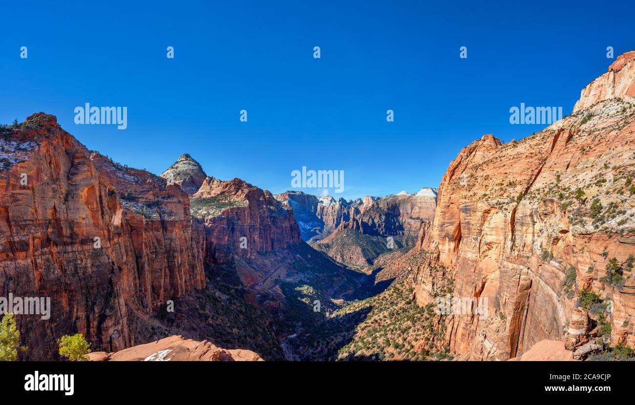 Vue sur le canyon de Zion depuis Canyon Overview, parc national de Zion, Utah, États-Unis Banque D'Images