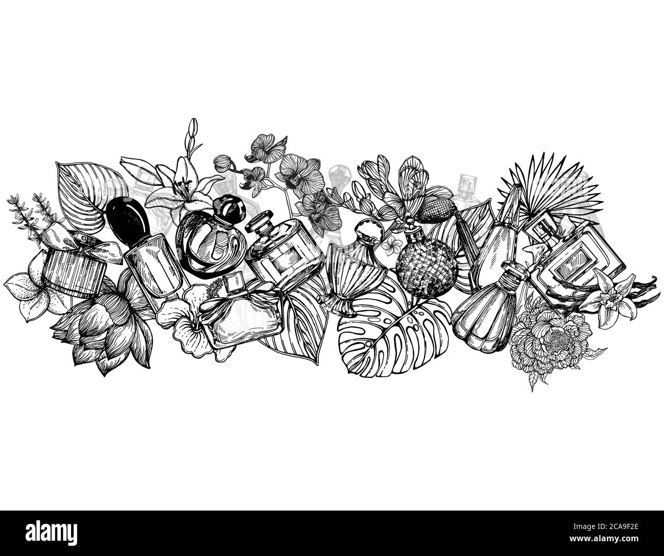 Affiche / carte / composition de flacons de parfum et de plantes dessinés à la main, isolés sur fond blanc. Illustration vectorielle. Illustration de Vecteur