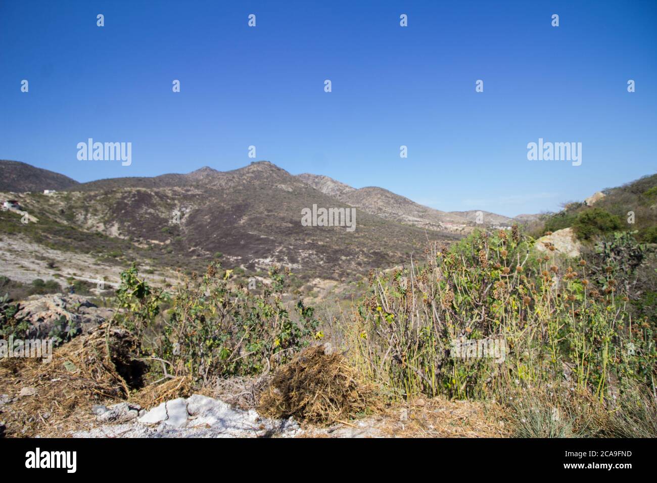 Montagnes de Sierra Gorda-Queretaro Banque D'Images
