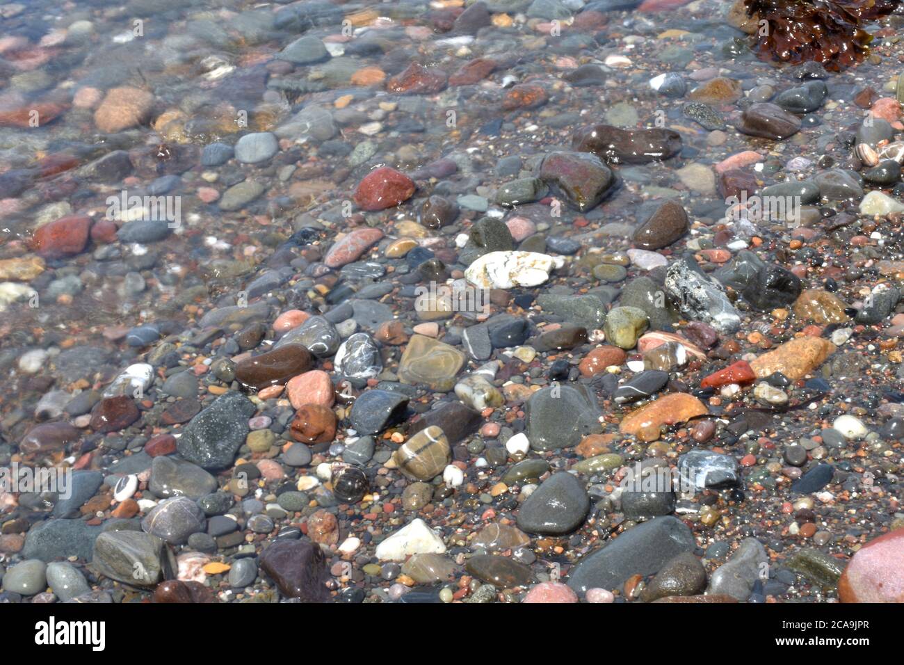 Belle côte/plage des Rocheuses à Carleton-sur-mer, Québec, Canada Banque D'Images