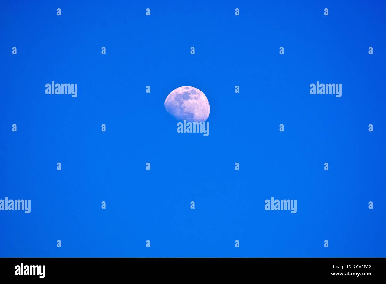 Une belle lune avec ses cratères peut être vue dans le ciel clair de jour. Le côté éclairé par le soleil est clairement visible. Banque D'Images