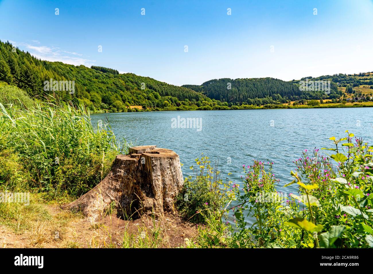 Meerfelder Maar, Vulkaneifel, lac vulcanique, Eifel, Rhénanie-Palatinat, Allemagne, Banque D'Images