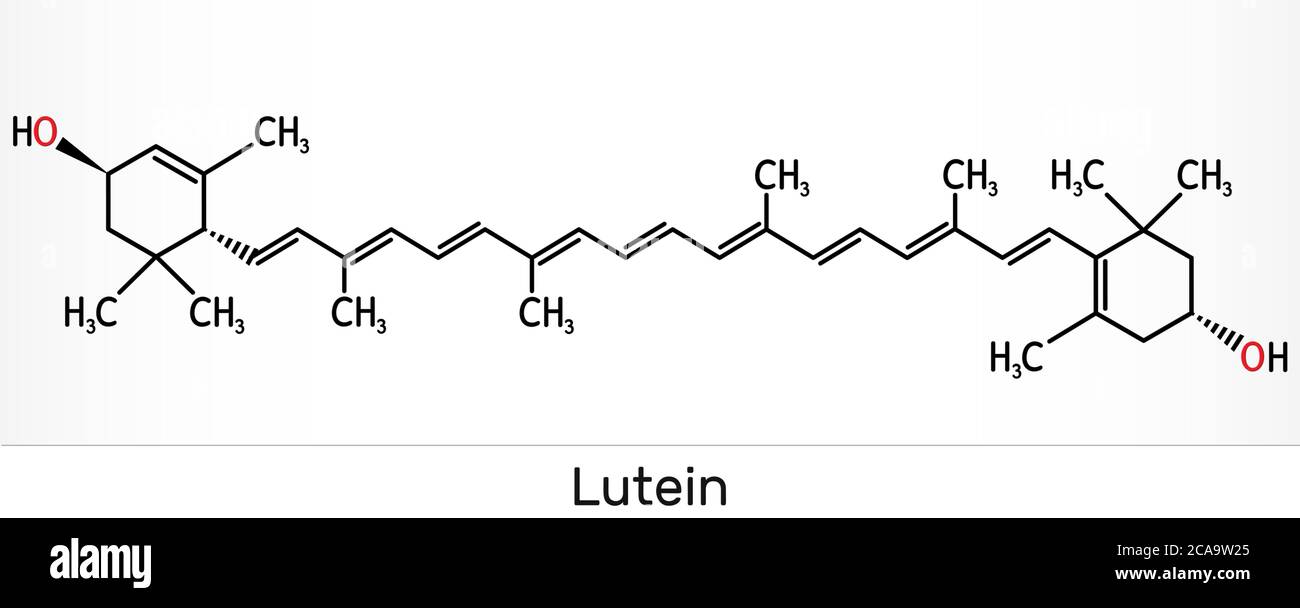 Lutéine, molécule de xanthophylle. C'est le type de caroténoïde