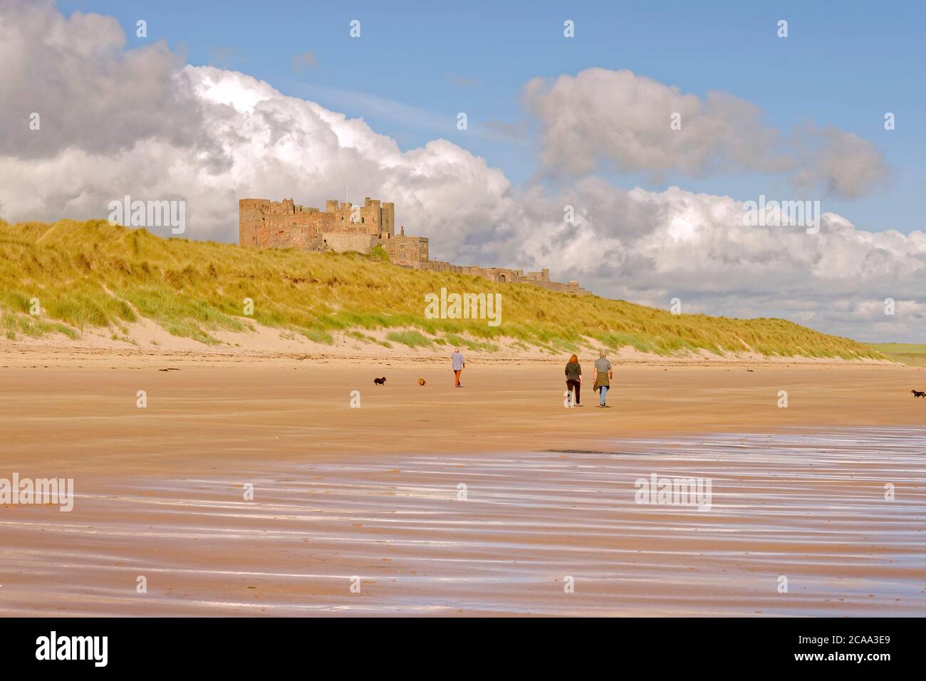 Château de Bamburgh, Bamburgh Northumberland, en Angleterre. Banque D'Images