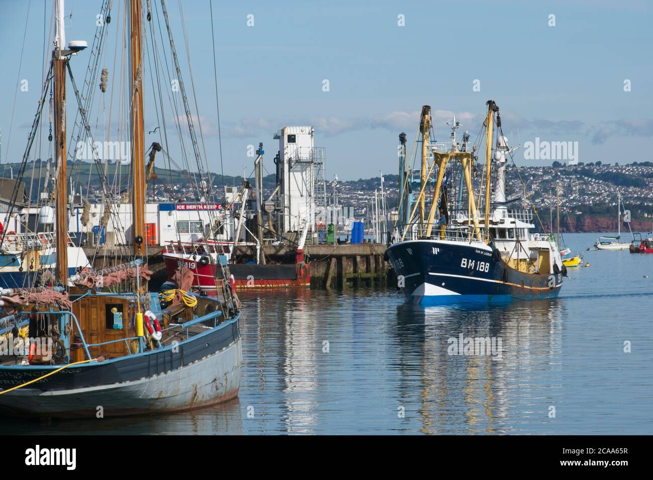 Brixham Trawler BM188 Sam de Ladram revenant au port large Chalutiers de mer manœuvrant dans le port de Brixham vue frontale mer calme et ciel bleu clair Banque D'Images