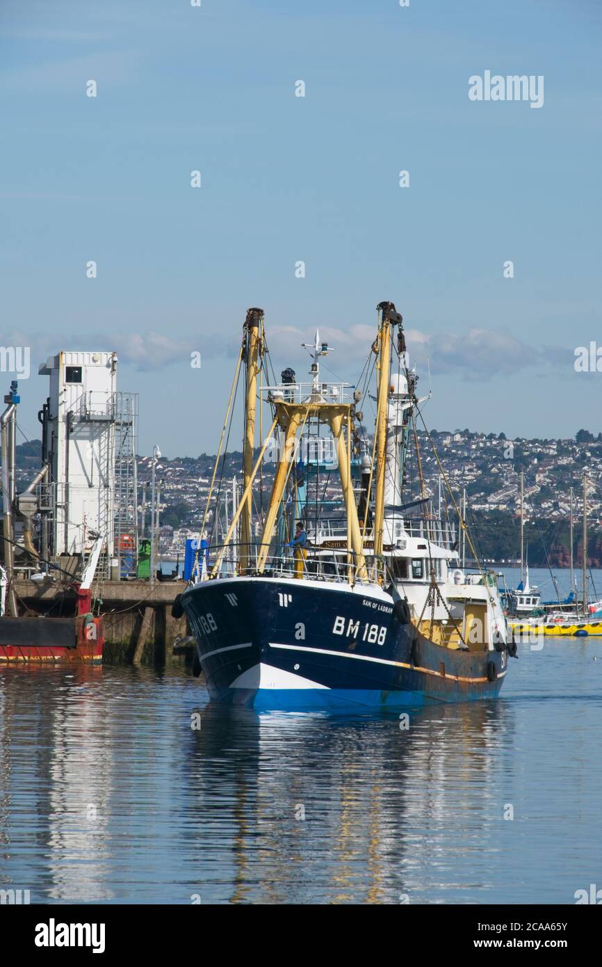 Brixham Trawler BM188 Sam de Ladram revenant au port large Chalutiers de mer manœuvrant dans le port de Brixham vue frontale mer calme et ciel bleu clair Banque D'Images
