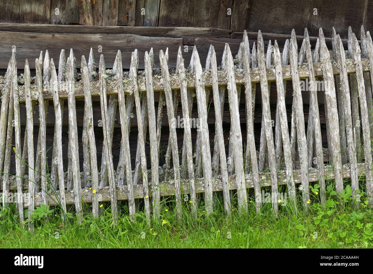Vieilles clôtures en bois gris très abîmés Banque D'Images