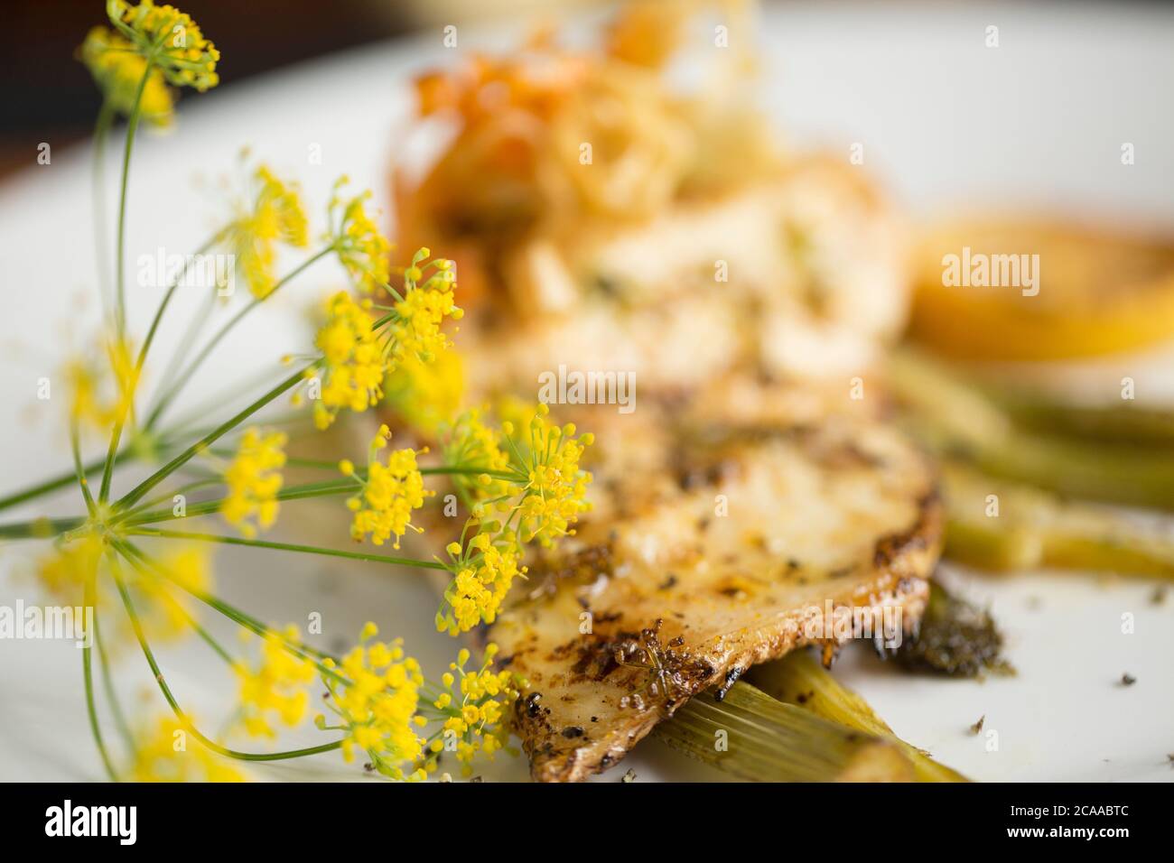 Un filet de bar sauvage pêché à la ligne, Dicentrarchus labrax, frit dans du beurre qui a été servi sur une tranche de fenouil et aromatisé au citron et sauvage Banque D'Images