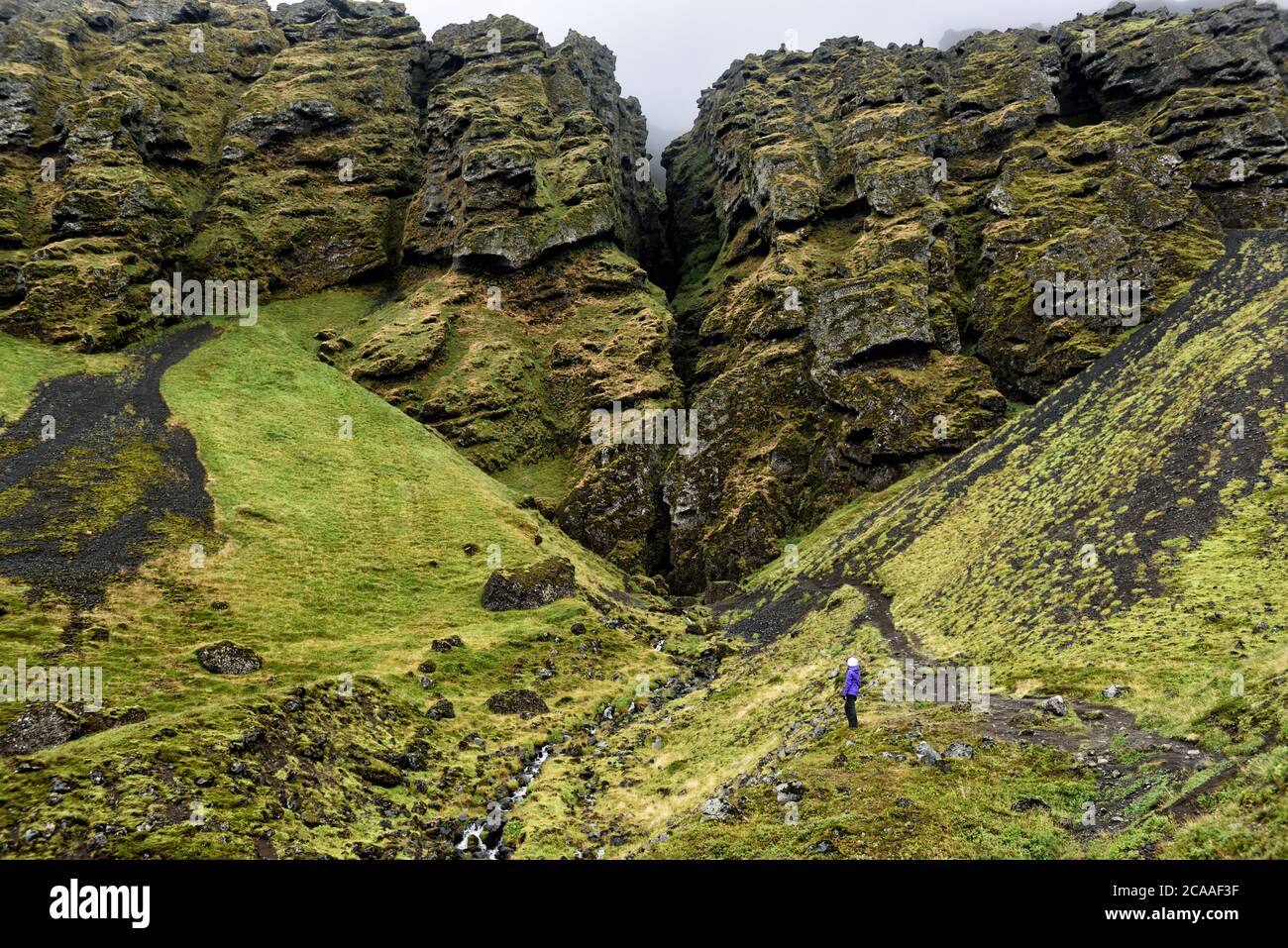 Iceland randonneur visite touristique Raudfeldsgja Canyon gorge Rift nature paysage sur la péninsule de Snaefellsnes, ouest de l'Islande Banque D'Images