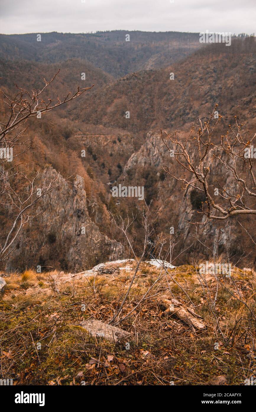 Wild Bodetal depuis le point de vue de Rosstrappe dans le parc national des montagnes Harz en Allemagne Banque D'Images