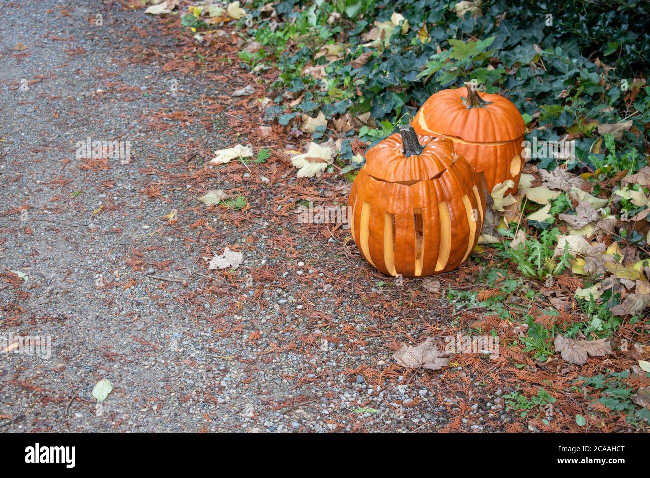 Citrouilles d'Halloween sculptées dans une allée de campagne Banque D'Images