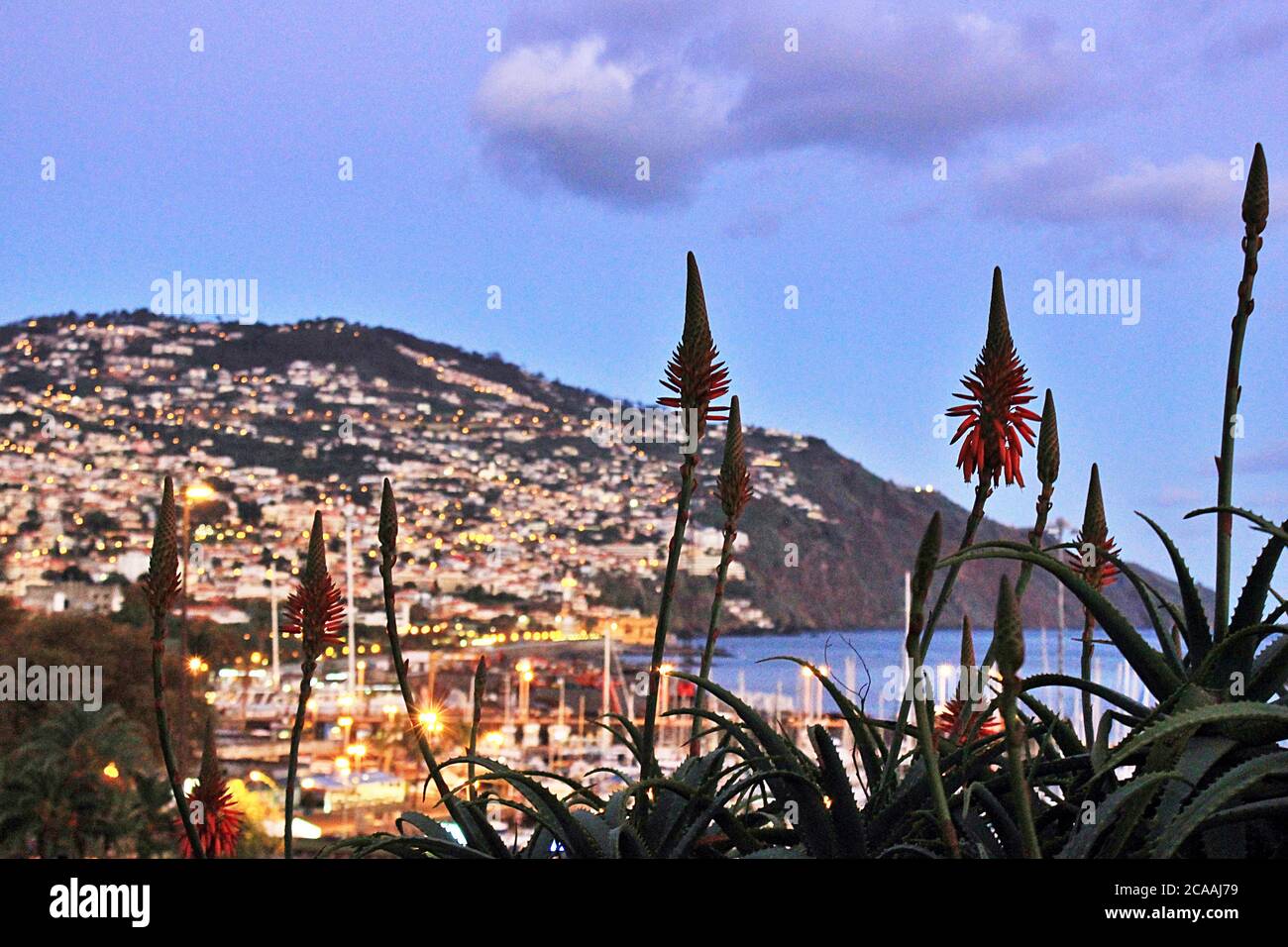 Le soir, il y a des lumières près du port de plaisance de Funchal, sur le front de mer de Funchal, à Madère, au Portugal. Banque D'Images