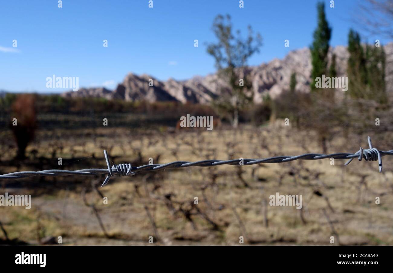 Gros plan d'un fil barbelé sur un arrière-plan flou Banque D'Images