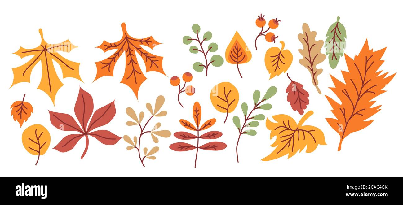 set d'automne. Feuilles, branches et baies multicolores et de forme différente sur fond blanc. Pour le design et la décoration automnales, l'imprimé. Vecteur Illustration de Vecteur