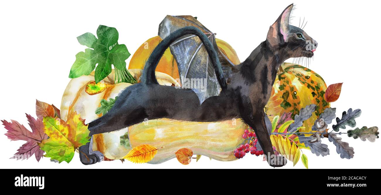 Aquarelle Illustration Chat Noir Mignon Avec Ailes De Chauve Souris Avec A Une Citrouille D Halloween Photo Stock Alamy