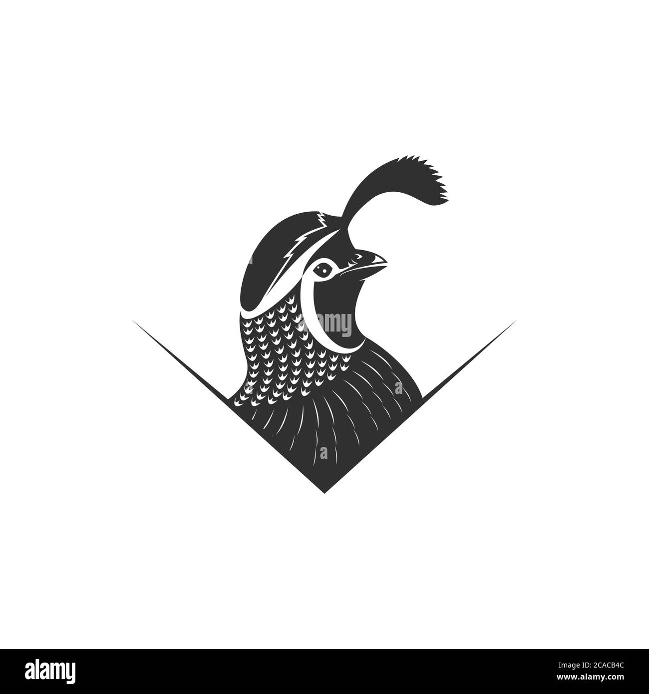 illustration vectorielle du logo quail pour votre entreprise ou votre marque Illustration de Vecteur