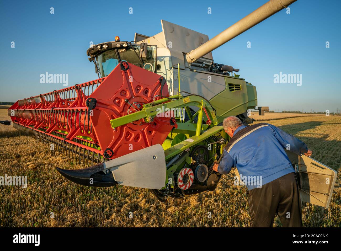 l'opérateur de la machine sur le terrain vérifie les mécanismes de la moissonneuse-batteuse Banque D'Images