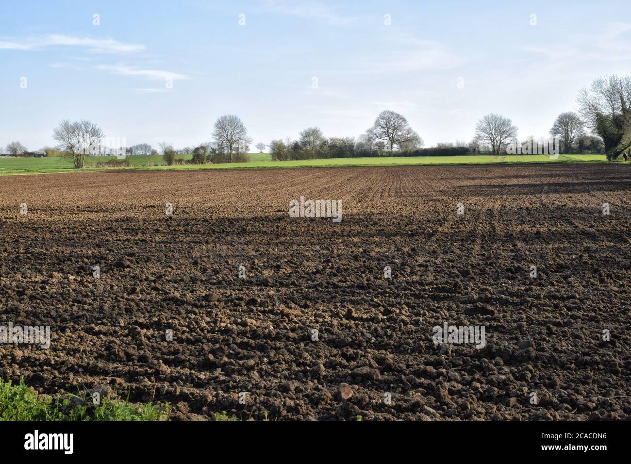 fallow field, suffolk, angleterre, royaume-uni Banque D'Images fallow field, suffolk, angleterre, royaume-uni Banque D'Images