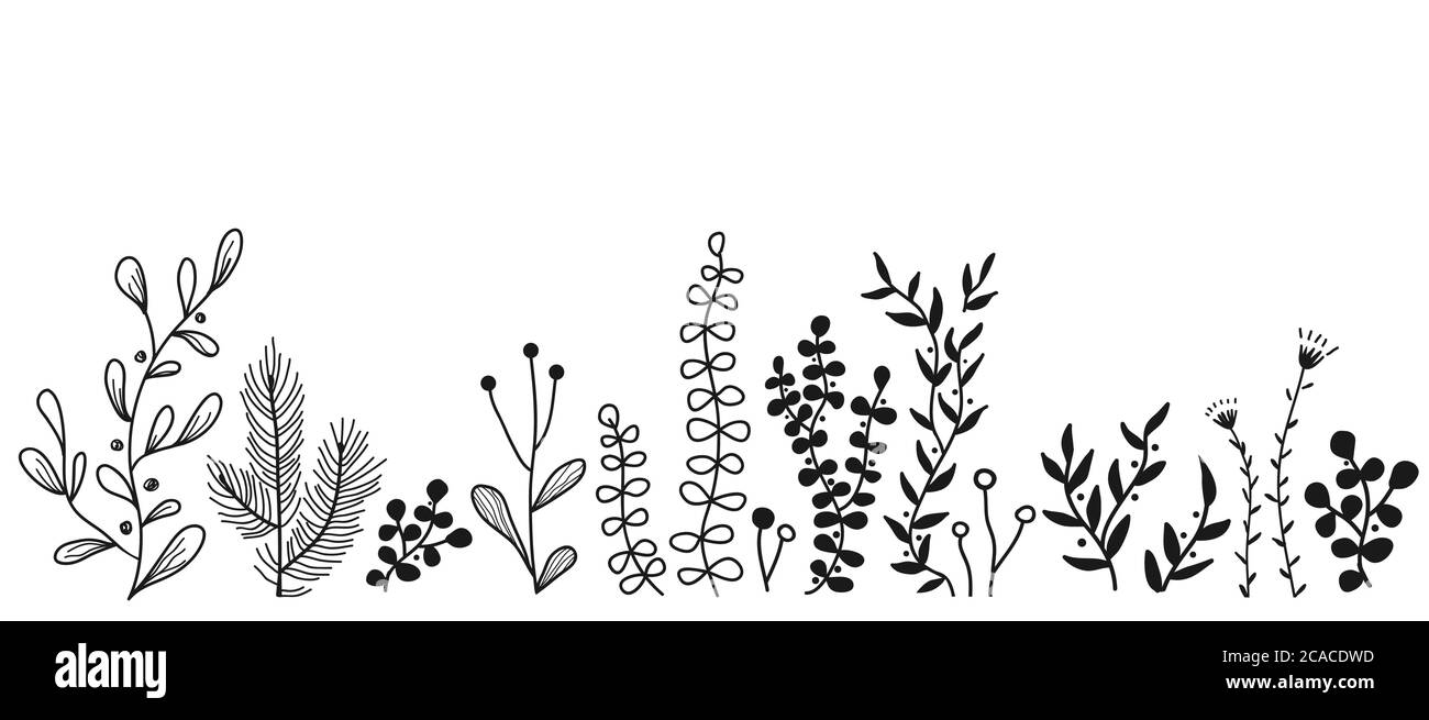 Bordure florale vectorielle avec plantes de prairie et de forêt de caniche. Arrière-plan abstrait dessiné à la main pour cadres, affiches, textiles Illustration de Vecteur