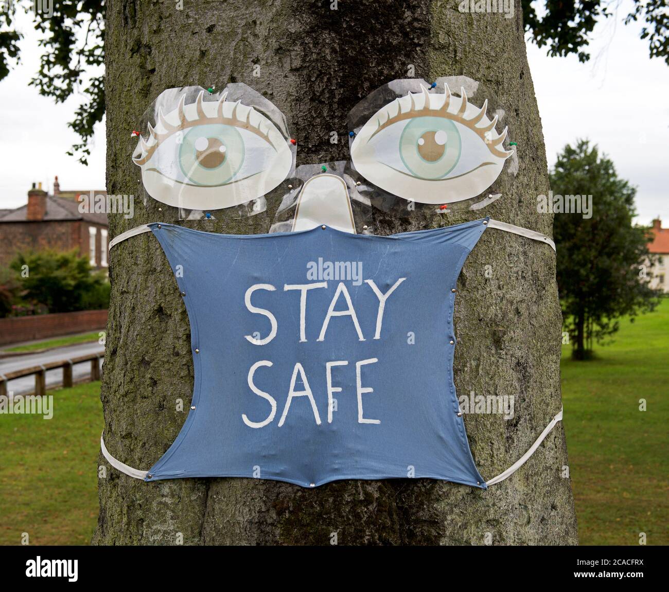 Texte « Stay safe » sur le masque, sur le tronc de l'arbre, Angleterre, Royaume-Uni Banque D'Images