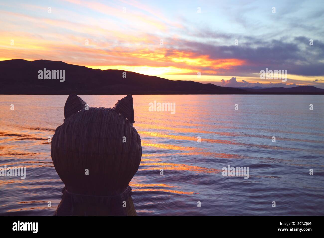 Puma Head prow de la traditionnelle roseaux Totora contre le lac Titicaca au beau coucher du soleil, Puno, Pérou, Amérique du Sud Banque D'Images