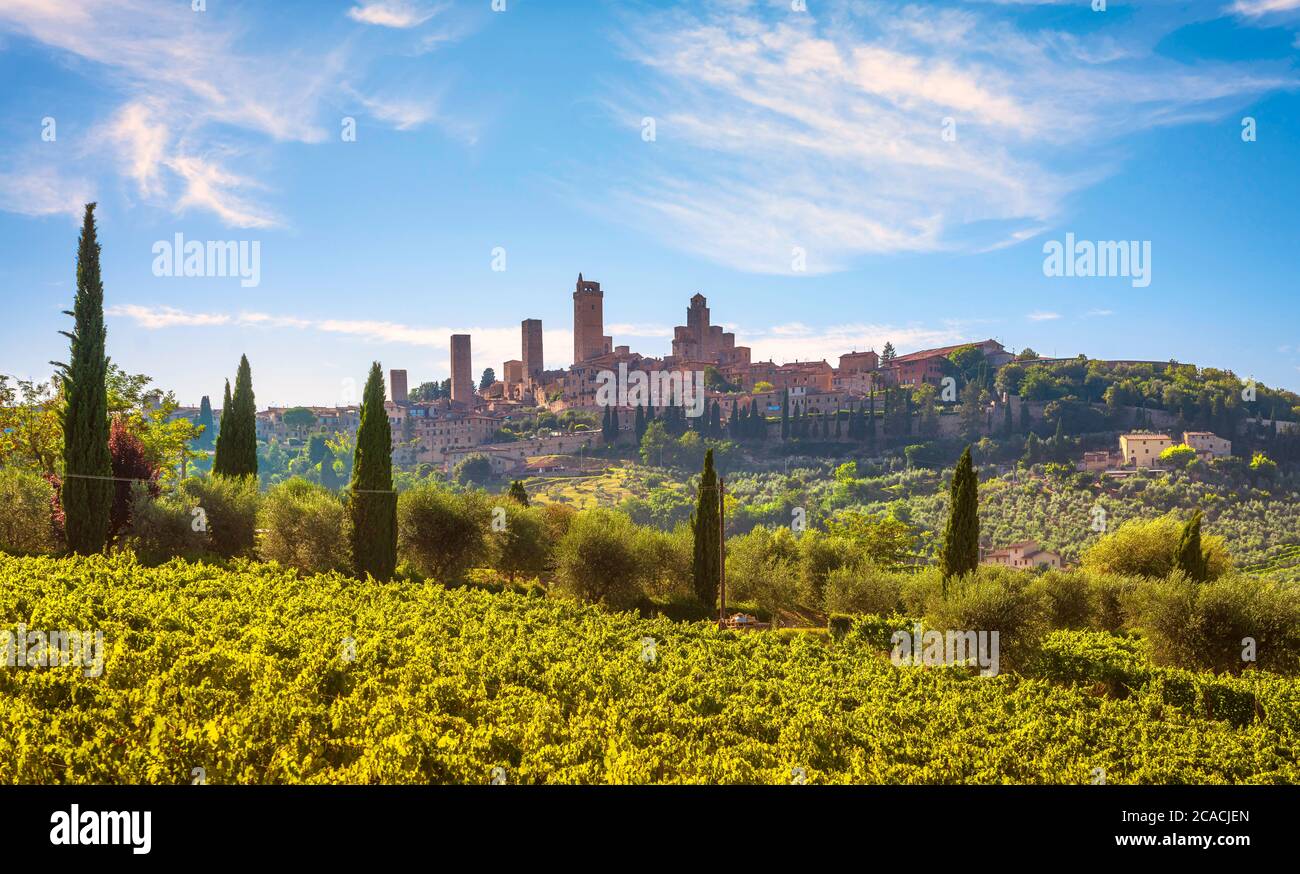 La ville médiévale de San Gimignano surplombe les gratte-ciel et les vignobles offrent un panorama sur le paysage. Toscane, Italie, Europe. Banque D'Images