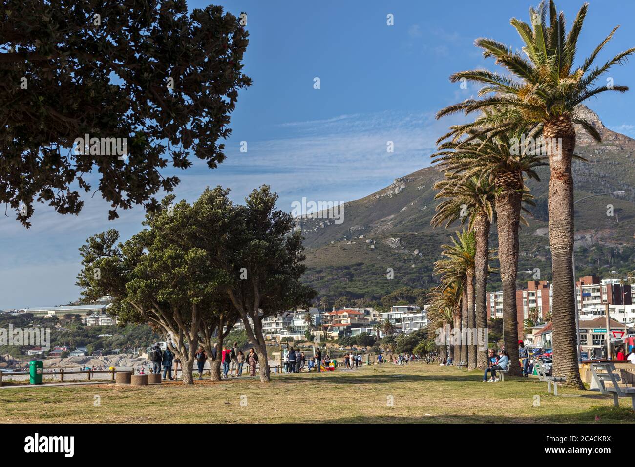 Camps Bay à Cape Town, Afrique du Sud. Banque D'Images