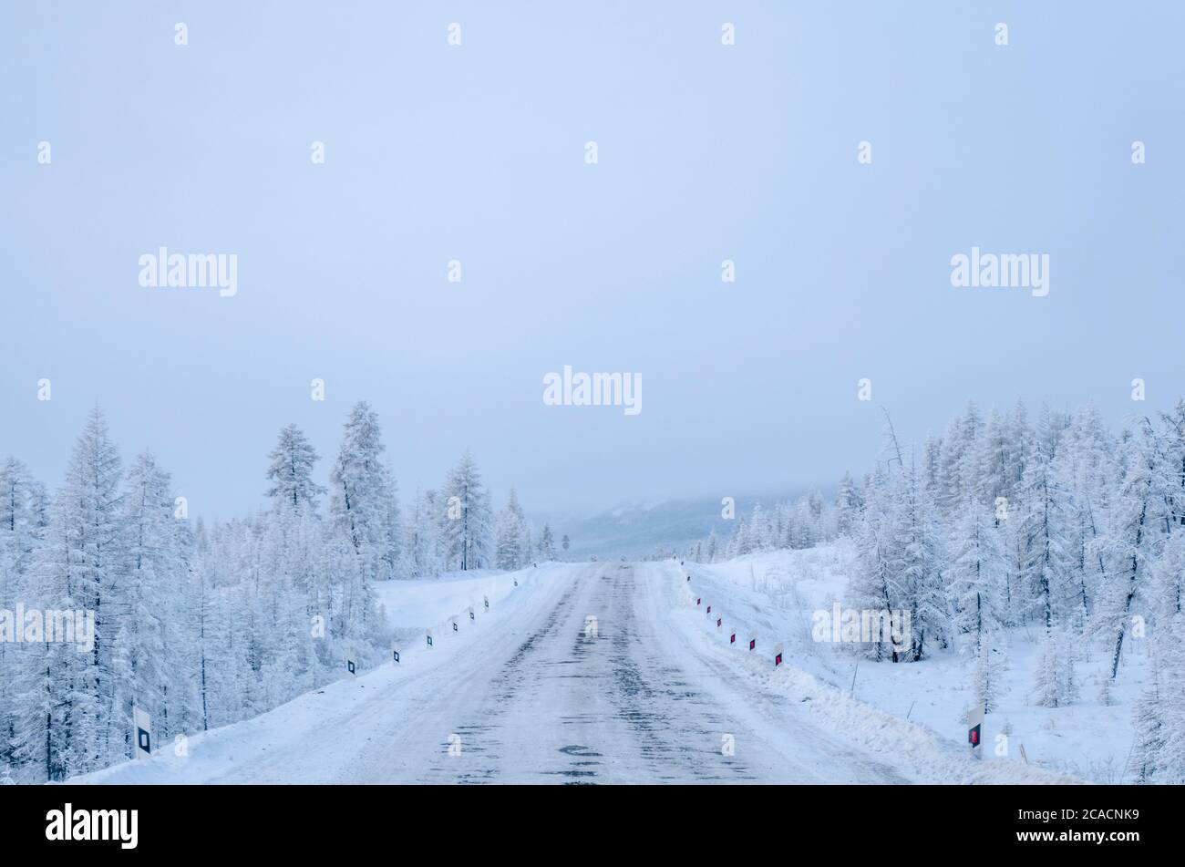 Forêt neigeuse dans la République de Sakha, région de Kolyma, Nord russe Banque D'Images