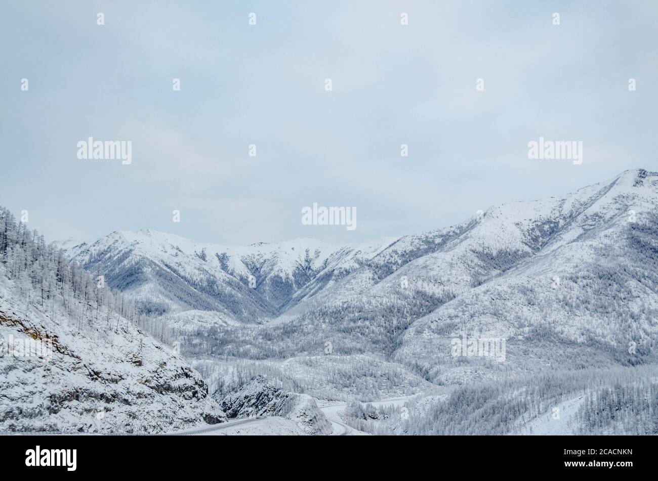 Forêt neigeuse dans la République de Sakha, région de Kolyma, Nord russe Banque D'Images